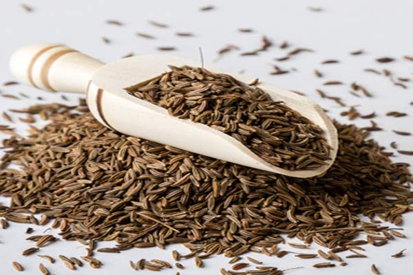 Cumin_Seeds