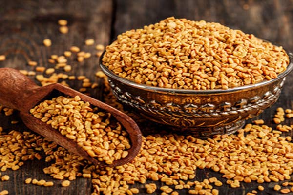 Fenugreek_seed_4